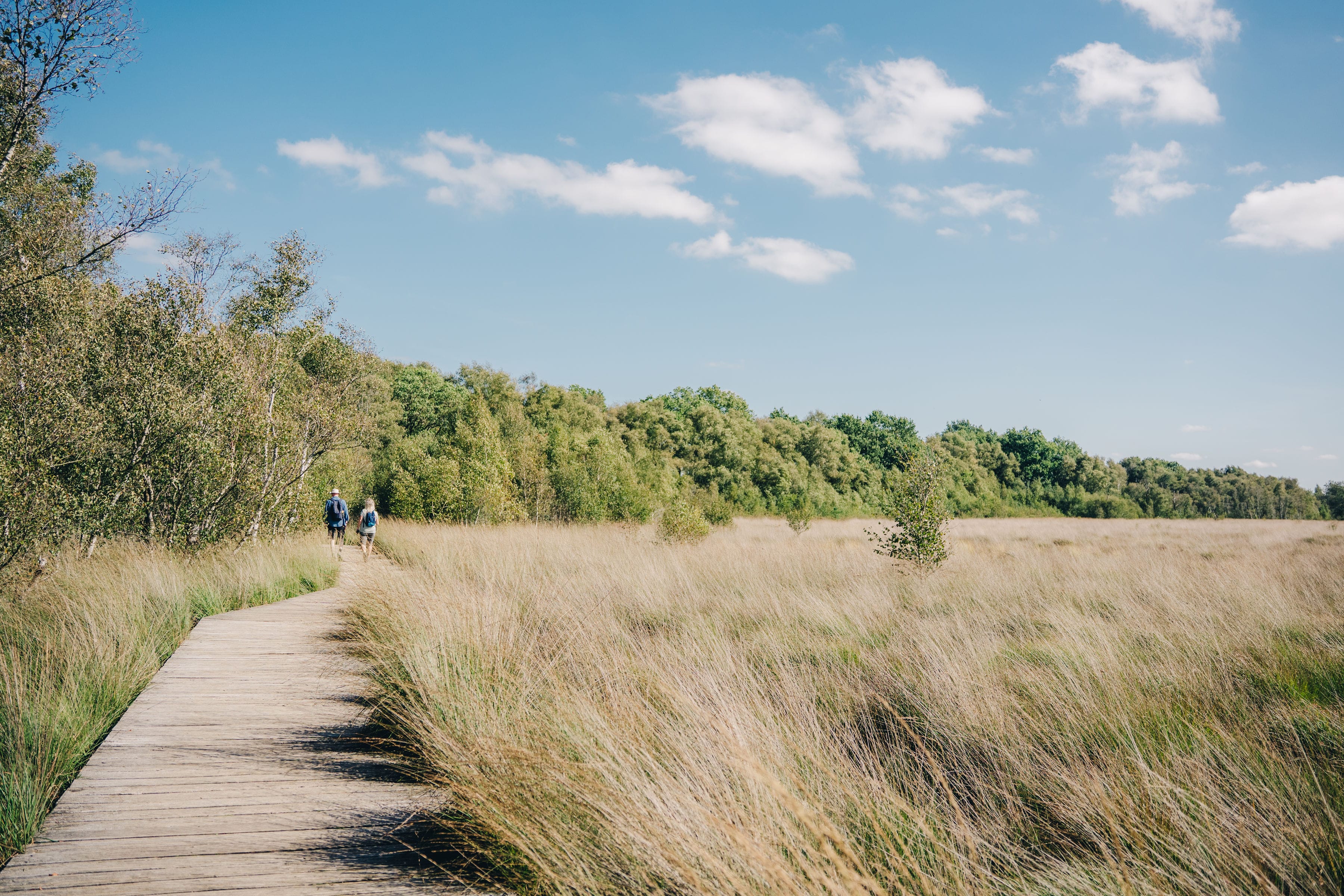 Twee mensen wandelen door Drents landschap