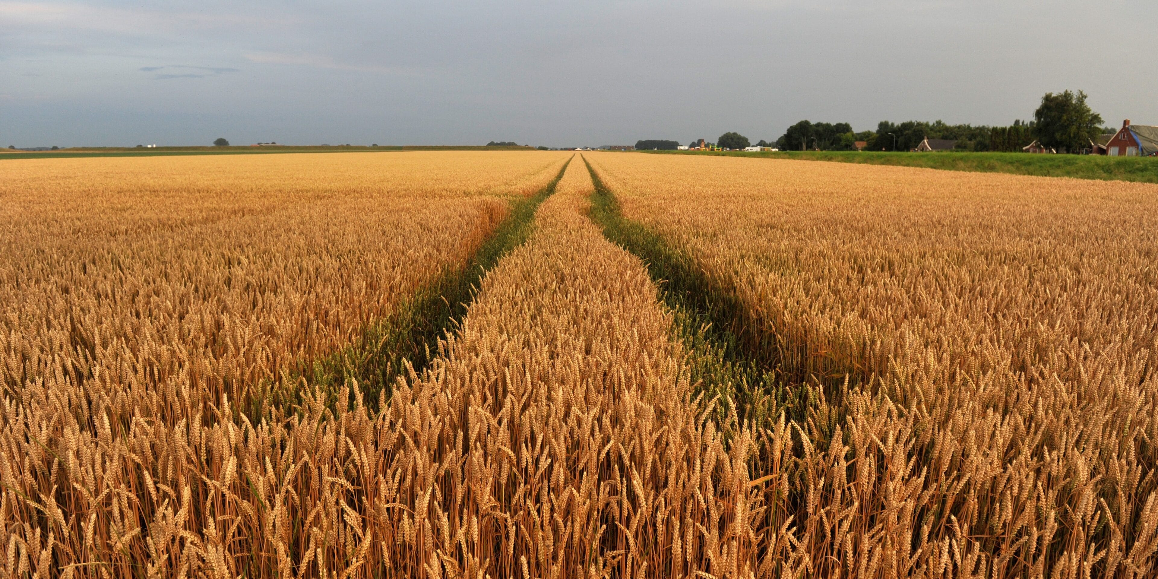 Graanveld Agroprogramma