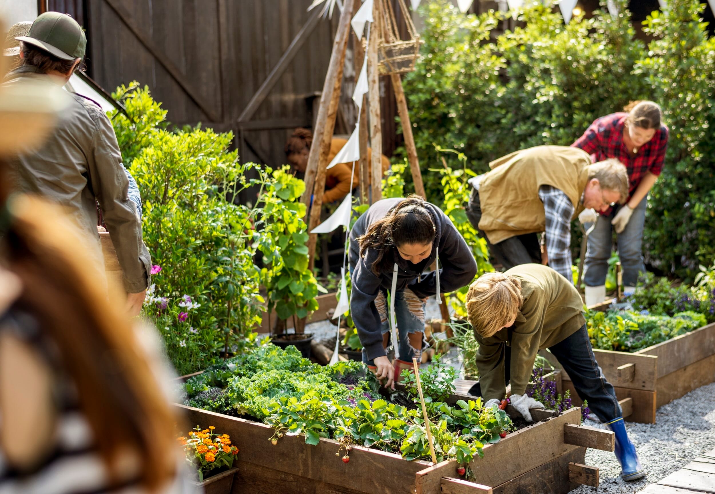 mensen werken samen in een moestuin