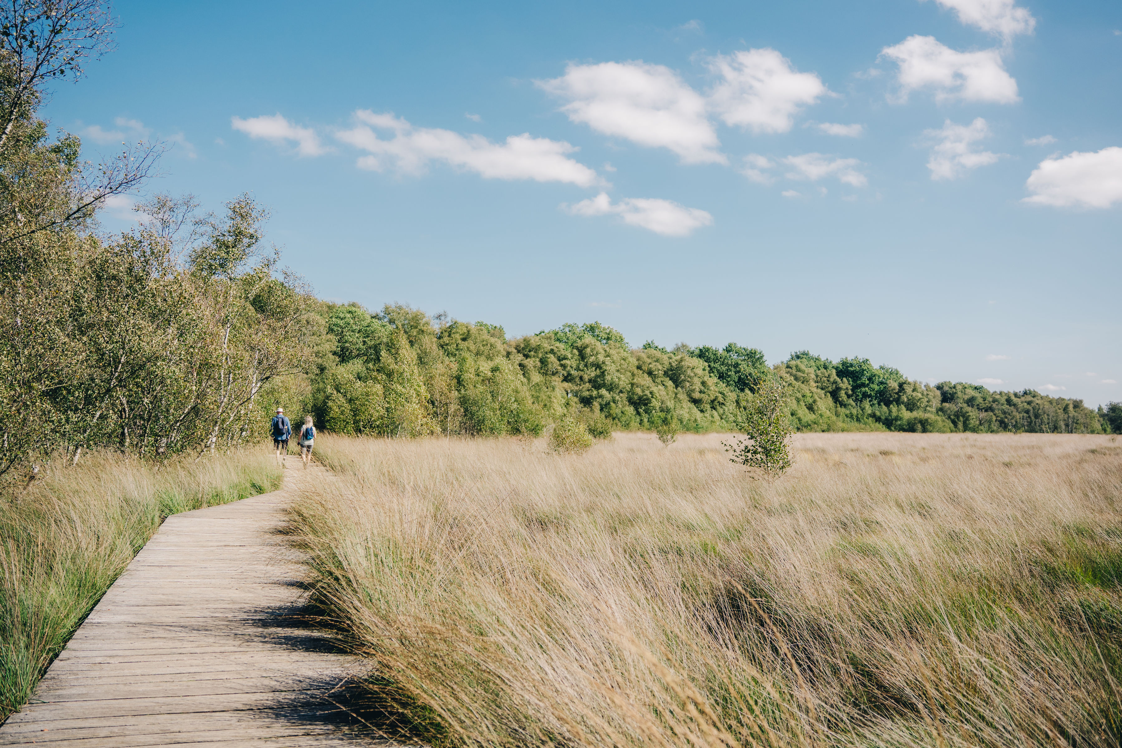 Wandelaars in Noord-Drents landschap
